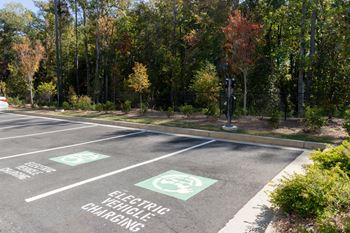 an empty parking lot with trees in the background